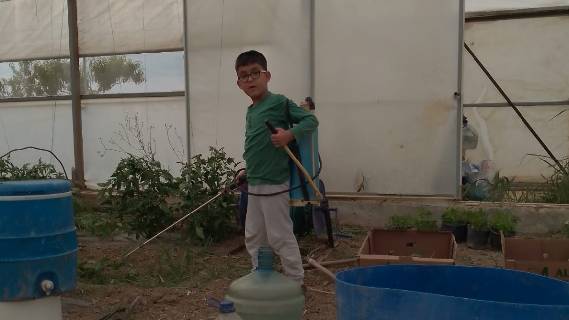 Yaşam Becerileri Etkinlikleri kapsamında Aile Hayatımızın Örnekleri