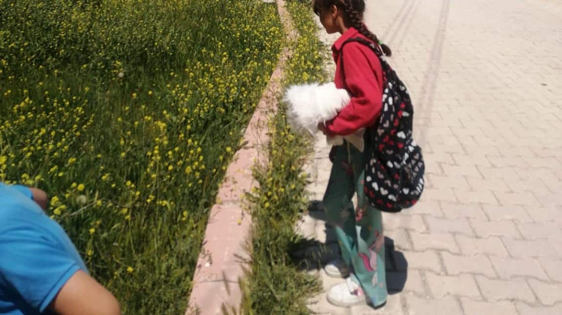 Yaşam Becerilerine Yönelik Çalışmamız